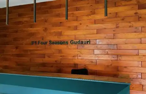 Gudauri Ski Resort - Four Seasons Apartments - 17