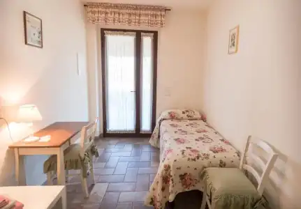 Rosa di Assisi - 12