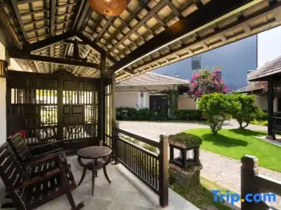 Ambong Rainforest Retreat - 113