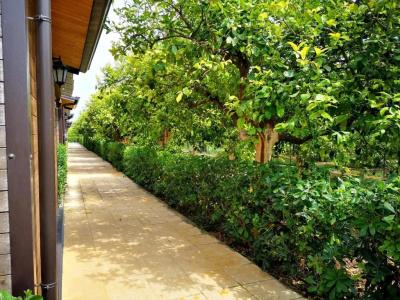 Agriturismo Terra dei Limoni - 140
