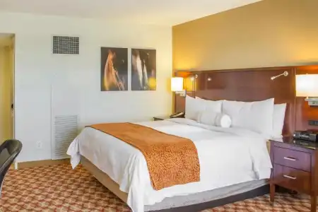 Marriott Louisville East - 23