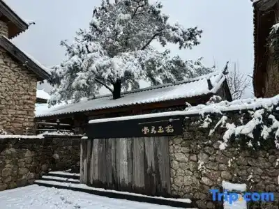 Xuema Yulong - 20