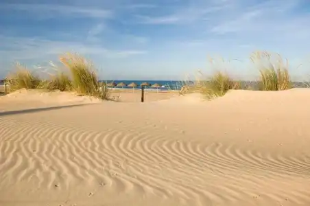 Eden Mar - 15