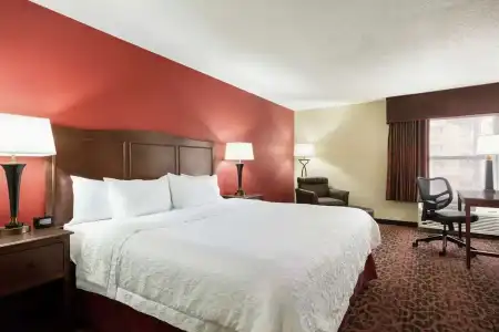 Hampton Inn Abilene - 46