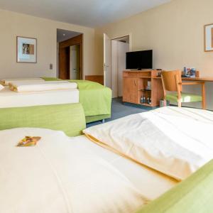 Schlosspark-Hotel - 46