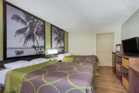 Super 8 By Wyndham Clearwater/Us Hwy 19 N - 13
