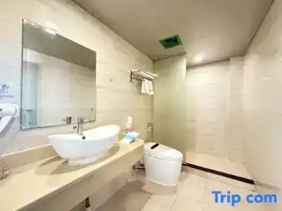 Hi Inn Shanghai Pudong Airport Lingkong Road - 30