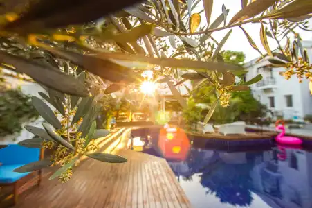 Centro Bodrum - 13