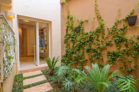 Riad Ayni - 25
