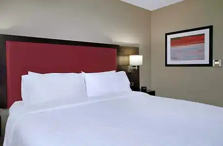 Hilton Garden Inn Sonoma County Airport - 68