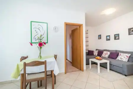 Apartments Vojin - 95