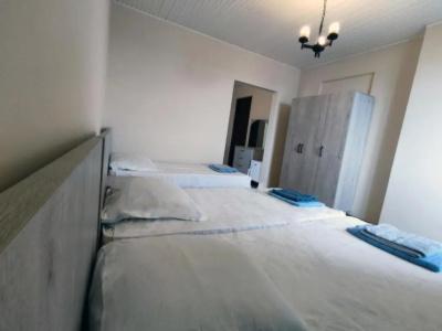 Guesthouse White Swan - 18