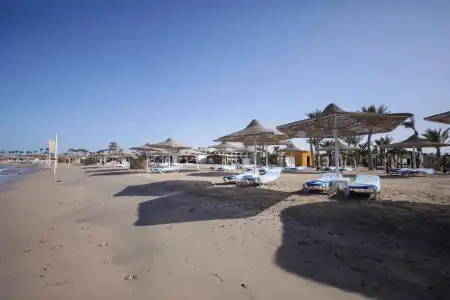 Calimera Blend Paradise - 36