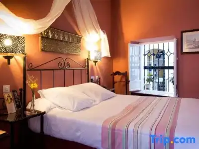 Abanico Casa Palacio - 39