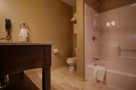 Sun & Ski Inn and Suites - 85