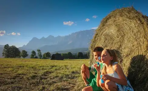 Pension Steiermark - 12