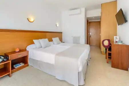 Vibra Palma Cactus - 6