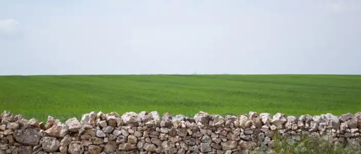 Masseria La Meridiana - 24