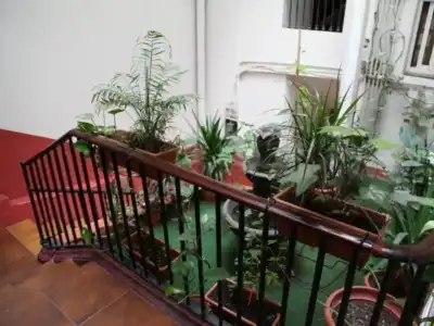 Hostel Razio - 10