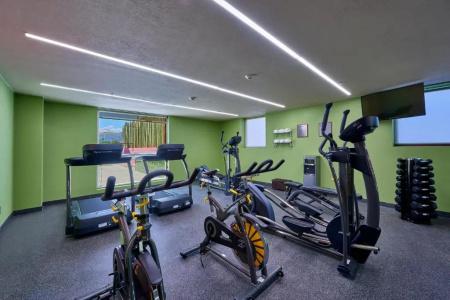 City Centro by Marriott Oaxaca - 19