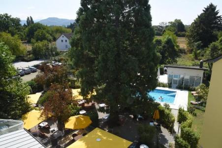 Hirschen in Freiburg-Lehen - 102