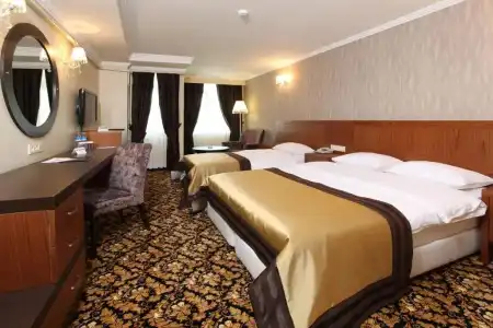 Arya Business Deluxe - 17