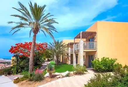 Ein Gedi Kibbutz - 85