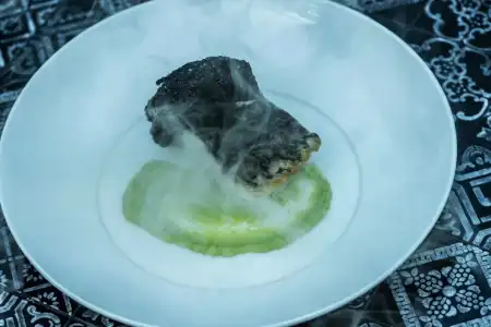 You & Me by Cocoon - 10