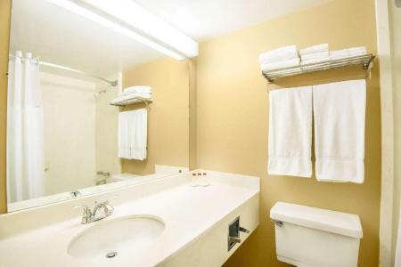 Ramada by Wyndham Denver Downtown - 12