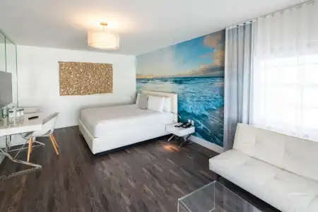 President Villa - 34