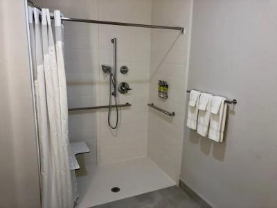 Holiday Inn Express & Suites HOUSTON WESTCHASE - WESTHEIMER by IHG - 74