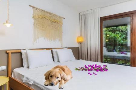 Faros Bodrum - 23