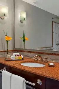Sheraton Buenos Aires & Convention Center - 82