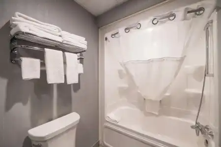 Hôtel & Suites le Dauphin Québec - 29