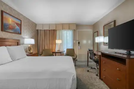 Best Western Seven Seas - 2