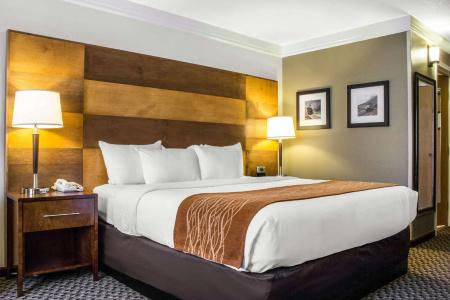Comfort Inn & Suites Durango - 64