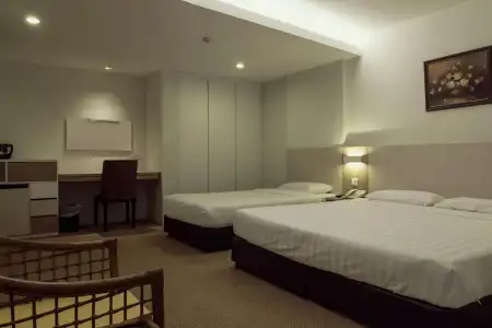 VIP (SG Clean Certified) - 46