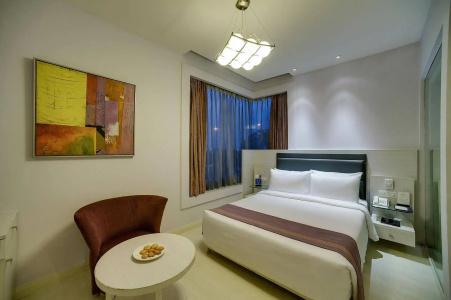 Sarovar Portico Naraina Delhi - 20