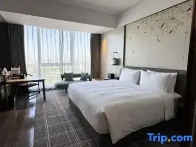 HUALUXE Xi an Chanba by IHG - 85