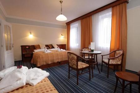 Spa & Wellness Harmonie - 39
