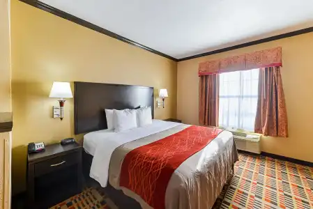 Quality Inn & Suites Lubbock South - 5