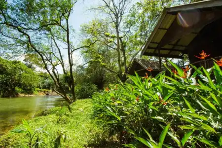 Khao Sok Riverside Cottage - 86