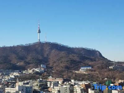 Myeongdong Merlin - 48