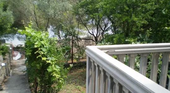 Krasici Green House - 9