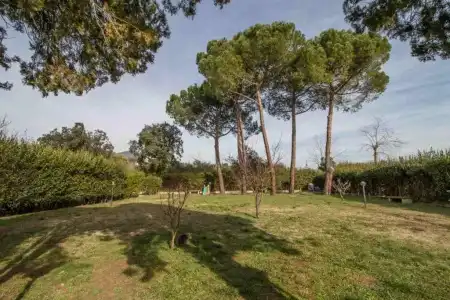B&B Palazzi - 101