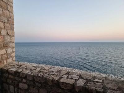 Kulla e Balshajve - 52