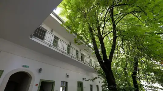 The Hive Party Hostel - 19