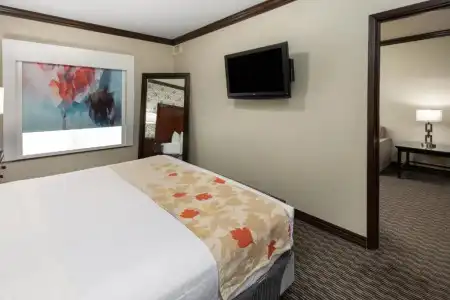 Hawthorn Suites by Wyndham Lubbock - 47