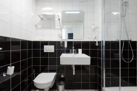 Hôtel Albert 1er - 42
