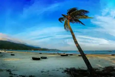 Alani Sea View - 28